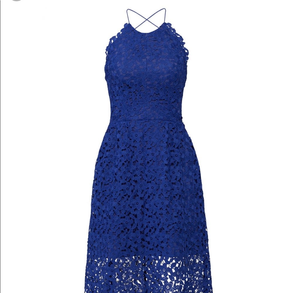 Slate & Willow Cobalt Lace Midi Dress